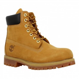 TIMBERLAND 6in Premium velours Homme Ocre