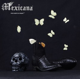 Mexiacana