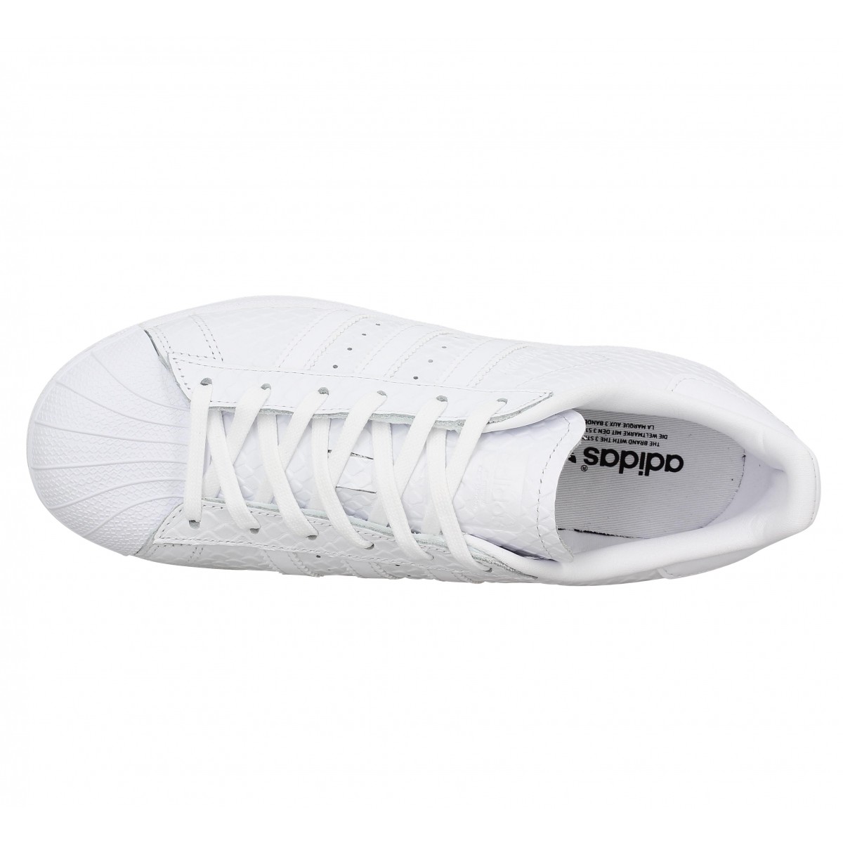 chaussure superstar reptile