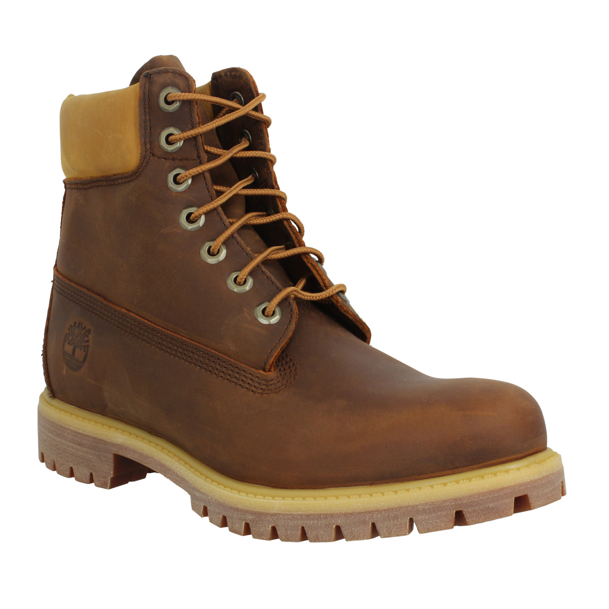 Bottines TIMBERLAND 6in Premium WP cuir regenerate Homme Marron