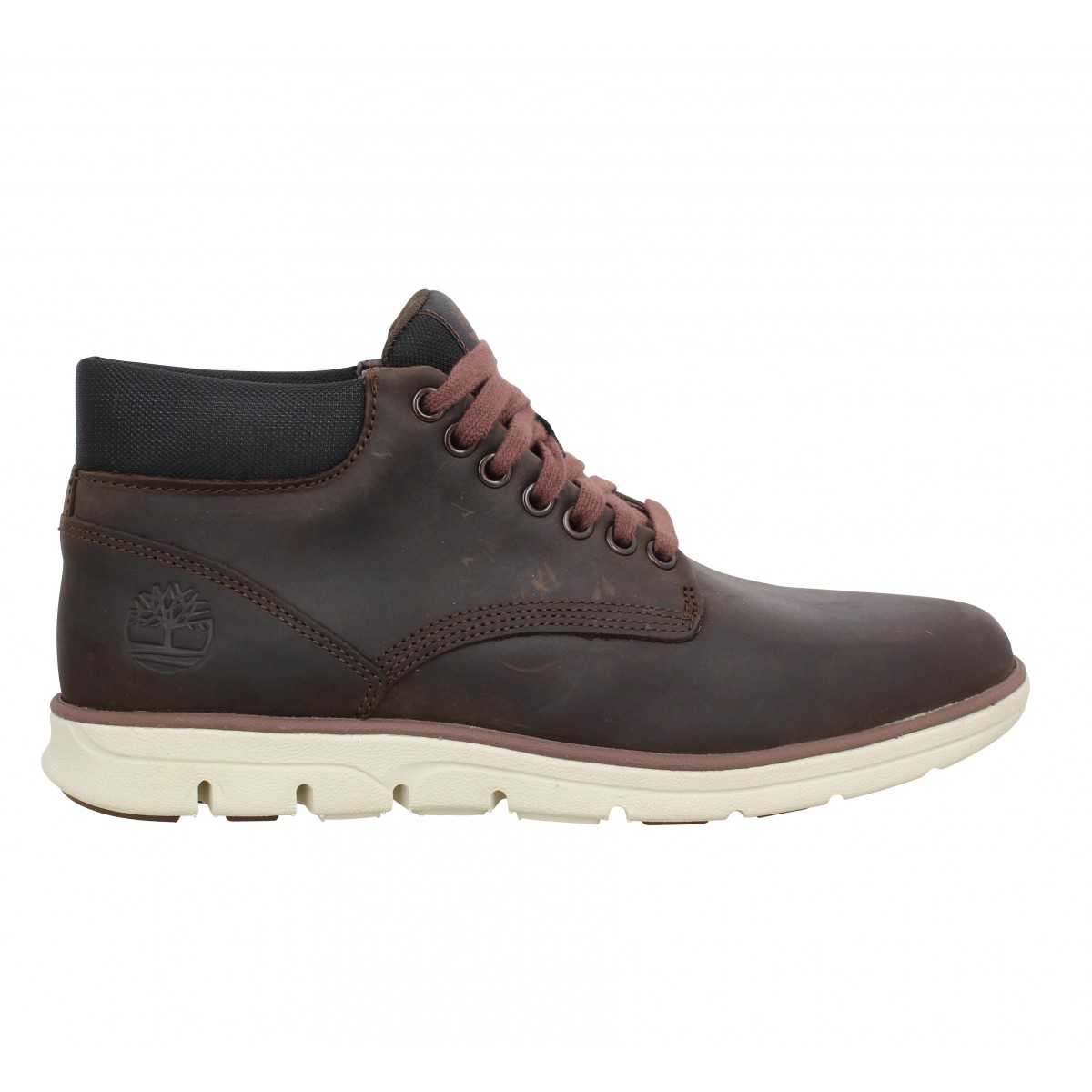 chaussure timberland bradstreet
