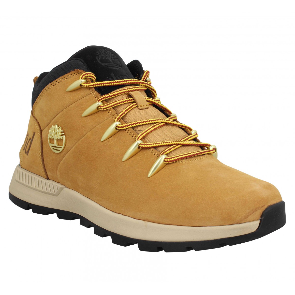 Chaussures Timberland homme